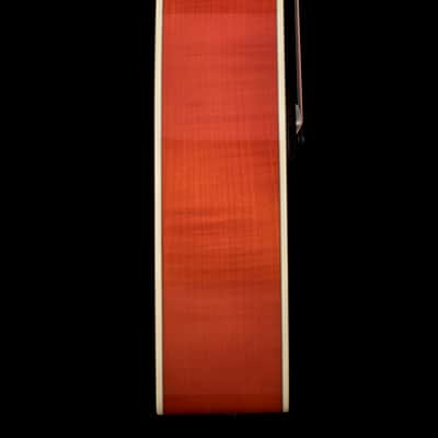 Taylor Doyle Dykes Signature Model #25061 (NAMM 2026) image 6