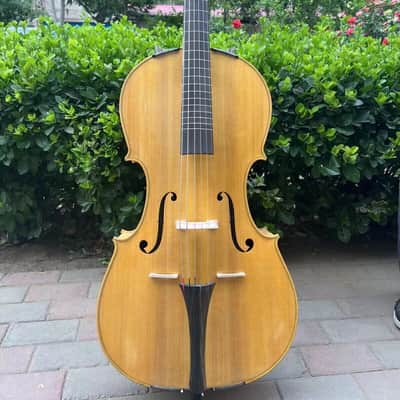 Standard full-scale 6 strings Cello-Arpeggione with 24 sympathetic strings#15388 image 2