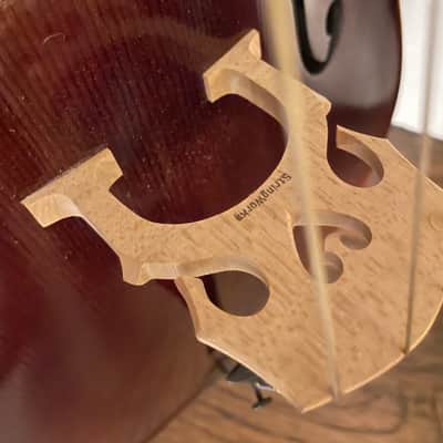 Stringworks Artist Cello  with Joh. Krausch Bow and Case image 6