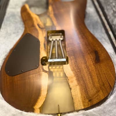 Ibanez JPCS25 Koa Canyon J. Custom 2022, 1 of 1, 50th Anniversary Collection image 6