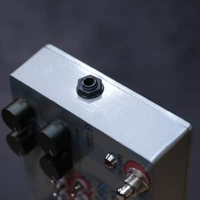 Pigtronix Echolution Unique Analog/Digital Dual Delay Effect Pedal w/Adapter Bild 10