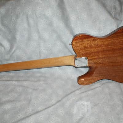 VZ Custom Guitars 24-Fret T-Style w/HSC image 6