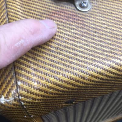 Fender Champ amp 1962 image 8
