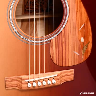 Headway Acoustic guitar The Eagle TWC/ATB Type D  - TLP-HGR(Tulip Half Gradation) #A04141 - 2.1kg image 4