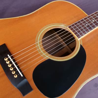 Takamine Elite TW60  Brazilian Rosewood '70 Natural+Hard Case image 18