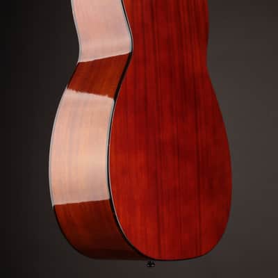 Atkin Essential OM 2025 - Sunburst image 9