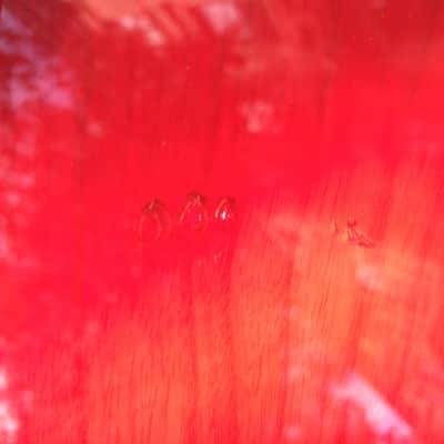 Fender Elite Stratocaster 1983 Transparent Red Burst image 5