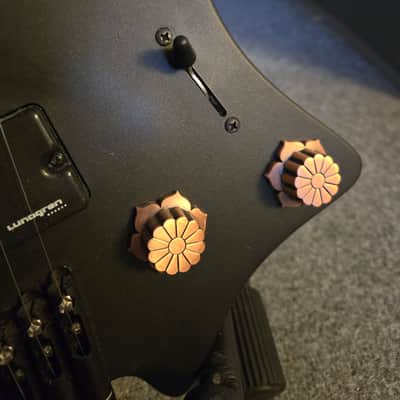 Modified Strandberg Boden Metal NX 8 image 4