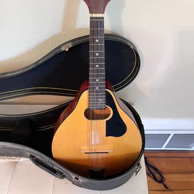 Montana ELM 100 A-Style Mandolin by Kaman Music Corporation — Made in Romania — w/ Hard Case image 7