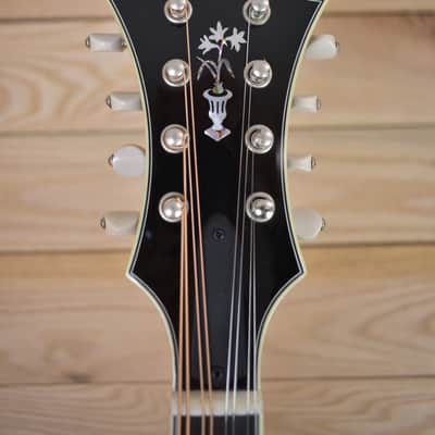 Bourgeois M5-F 2024 - Black Top image 8
