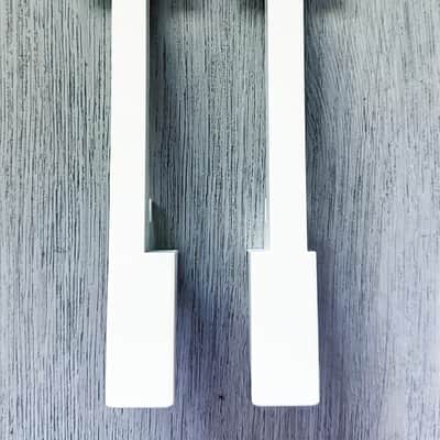 Yamaha DGX-200,DGX-202,DGX-203,DGX-205,PSR-GX76 Lowest 2 F,A-White Key Group