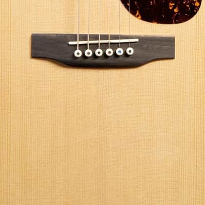 Martin SC-13E Modern image 4