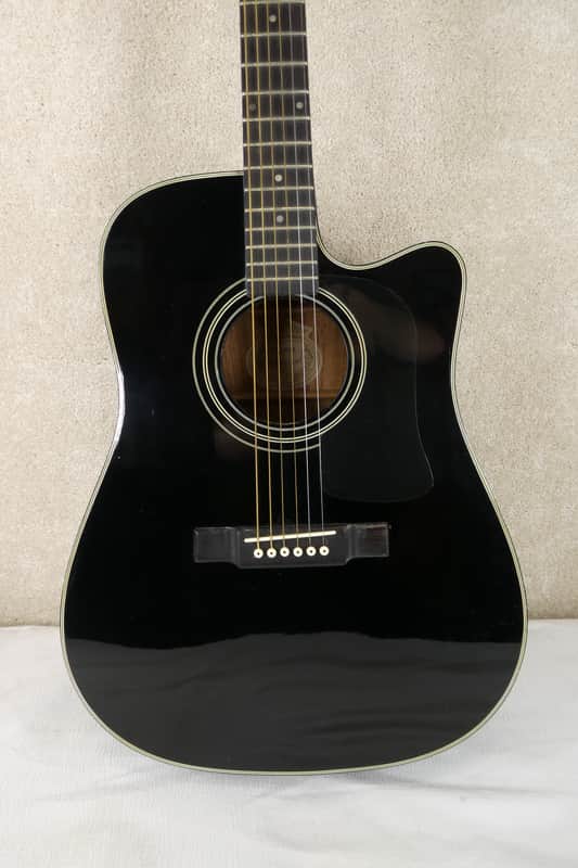 Washburn D100 CEB Blk w/HSC image 1