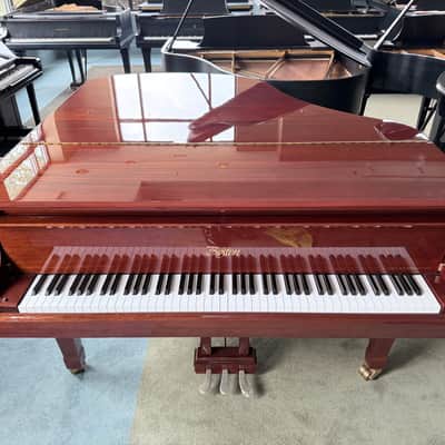 Immagine Boston GP163 2023 - Polished Mahogany - 8