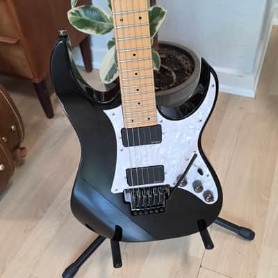 Ibanez Prestige RG2450Z TEAM J CRAFT 2008 LIMITED EDITION Maple Fretboard Custom EMG FujiGen HH Super Strat RG Guitar MIJ Japan image 8