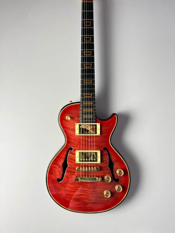 Vintage series custom guitar MihaDo GS image 1