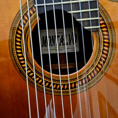 MONTALVO 10 STRINGS CLASSICAL GUITAR CONCERT SERIES GUITAR 2024 - CEDAR TOP image 16
