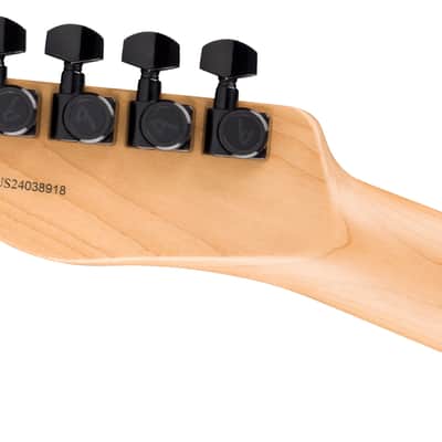 Fender : American Professional II Limited Sand Blasted Telecaster MN AGN image 5