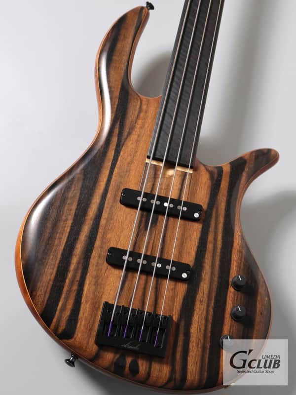 Elrick Gold Series E-volution 4st Fretless -Striped Ebony-【USED】【4.04kg】 image 1
