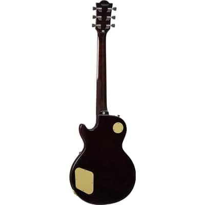 Eko Guitars VL-480 GT-V image 2