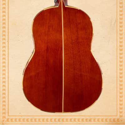 H. Jimenez Vihuela LV2 w/ Padded Gig Bag image 4
