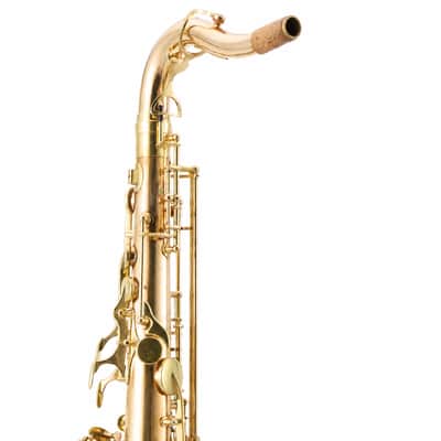 Yanagisawa TWO20 Professional Bb Tenor Saxophone in Lacquered Bronze SN 00399487 image 14