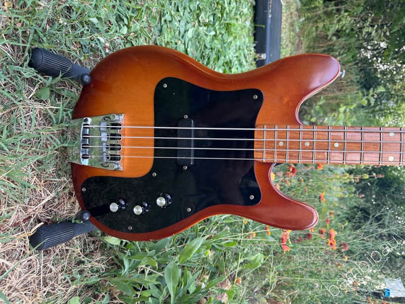 Rickenbacker 3001