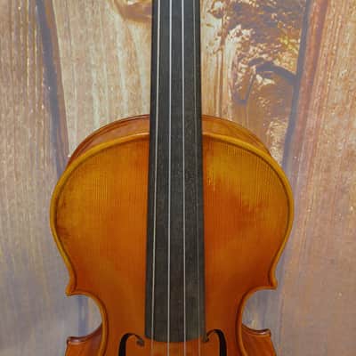Stefan Petrov Workshop Violin 4/4 TVN-S 2022 image 3