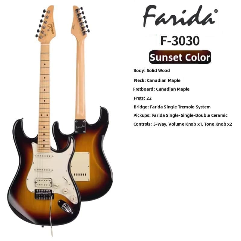 Farida F3030 Electric Guitar - Excellent Condition - All-Ages / Beginner Friendly image 1