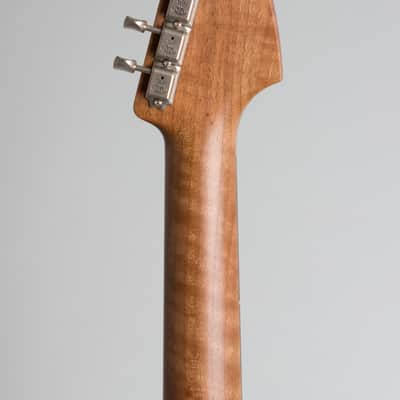 Deimel Guitarworks  Bluestar Semi-Hollow Body Electric Guitar (2020), ser. #13, original molded black plastic hard shell case. image 6