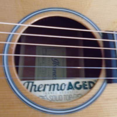 Ibanez ANV9SPE-NT Parlor Guitar natural, demo image 3