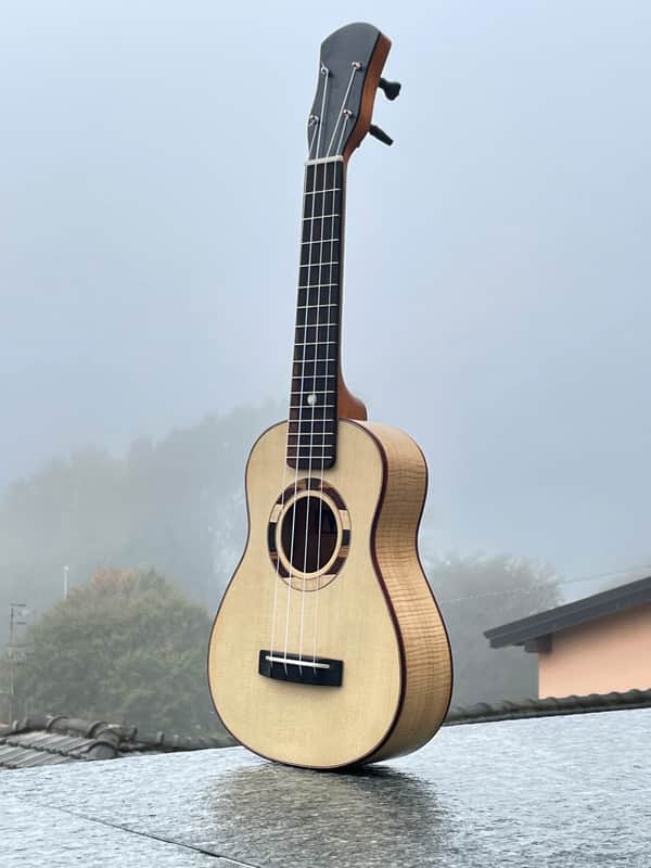 Waiz Concert Ukulele 2022 ex-demo image 1