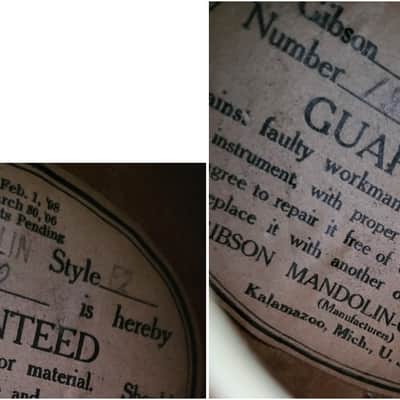 Gibson f2 1914 image 4