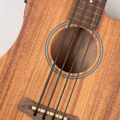 Gold Tone GT Series Micro Bass image 3
