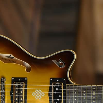 Duesenberg Alliance Series Joe Walsh - Gold Burst image 4
