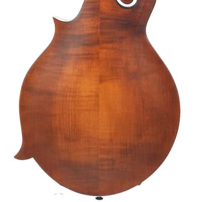 Eastman MD315 Adirondack Wide Nut Amberburst image 4