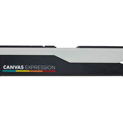 Walrus Audio Canvas Expression Expression Pedal image 9