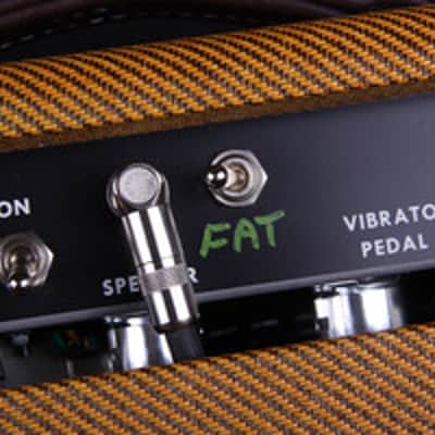 2-3 Week Delivery Time-Tyler Amp Works JT-22-Blackface Princeton Design-Tube Tremolo-Spring Reverb with Fat Switch and Mid EQ 50 Watt Speaker image 5