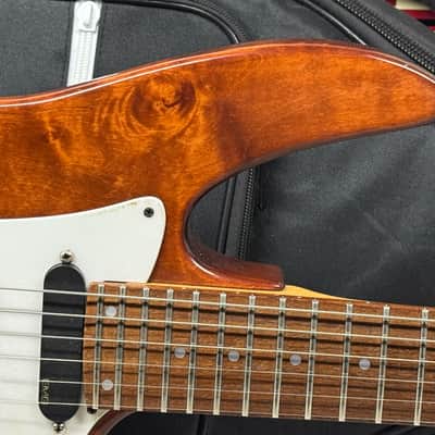 Godin G Series G4000 g 4000 Guitar with Gig Bag 1996 image 2