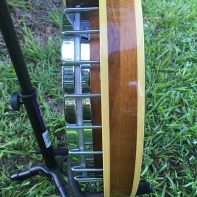 1970s Fender Artist 5-string Banjo image 10