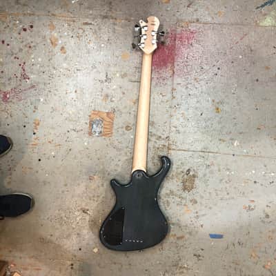 Freedom Custom Guitar Research DULAKE Libero -5st image 6