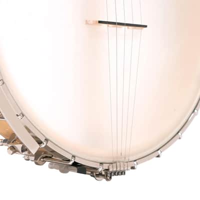 Gold Tone BC-350 Bob Carlin Signature Series Maple with Scoop Neck Openback Banjo w/Hardshell Case image 6