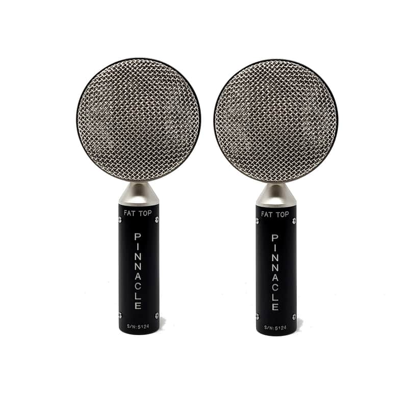 Pinnacle Microphones D-FT-ST-S Fat Top Ribbon Microphone Stereo Pair image 1