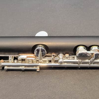Di Zhao DZP 102 Composite Wood Student Piccolo image 5