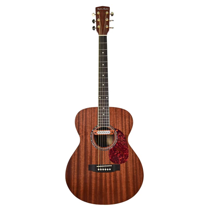 Harley Benton HBCG-45 N Custom Line Pre-owned image 1