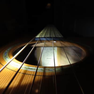 Goodall master Cedar/ AAA Claro Walnut Concert Jumbo Cutaway, with case. image 15