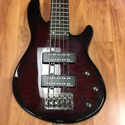 Schecter Raiden Special 5 Bass image 10