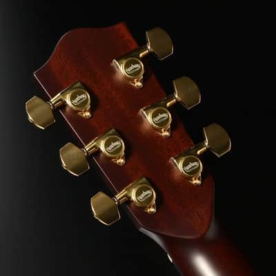 Headway The Five/STD Type D 2025 - CN（Clear Natural）Acoustic Guitar image 14