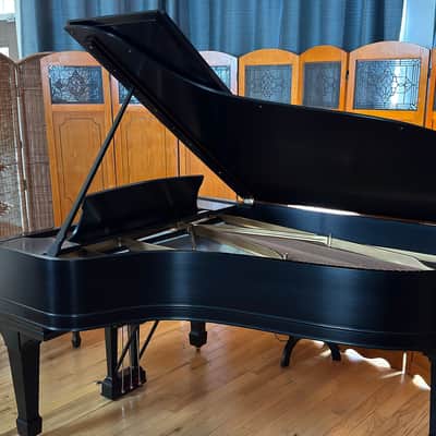 Steinway&Sons B 1896 - Ebony Satin image 23