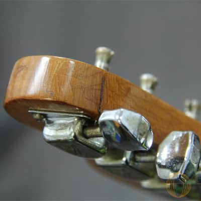 Fender Telecaster Blonde Maple Cap Neck 1967 image 11